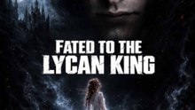 Fated To The Lycan King engsub fullfilm ❤️⚡️ Whispered Alliance