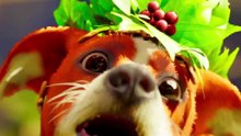 AD | Play As A TINY Dog Lost In A HUGE Magical World (Toto’s Journey)