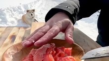 Snow Campfire Sesame Bread Recipe - Cream Cheese — 雪地芝麻大面包