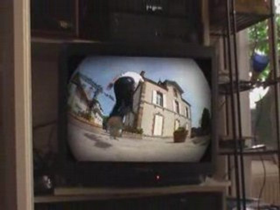 Nico tele test