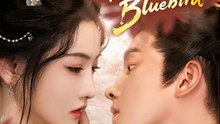 Song of the Resentful Bluebird ShortTV Part 1/2