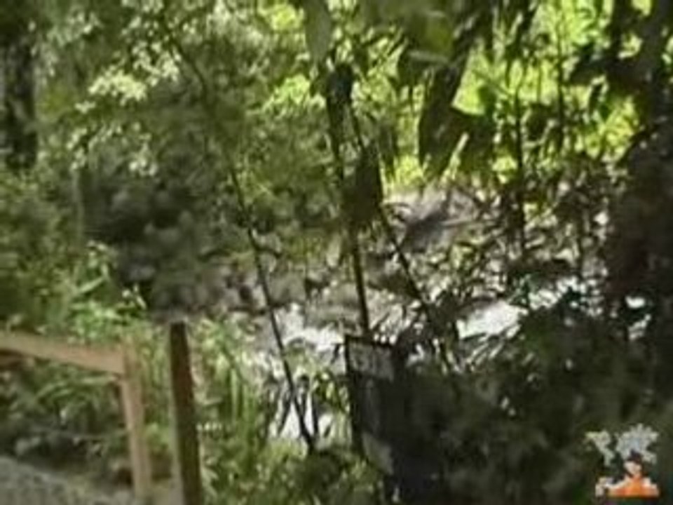 iBuzzPro Marketing Guru's Adventure in Costa Rica