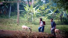 POTE eps 6