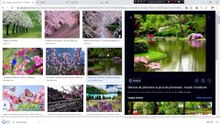 Cum editezi un videoclip în Filmora (tutorial pentru începători)