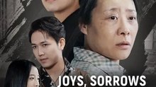Joys, Sorrows and Reunions | NetShort Short Drama | Part 2/2
