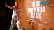 One Nation pitches pro-family policy amid abortion stir