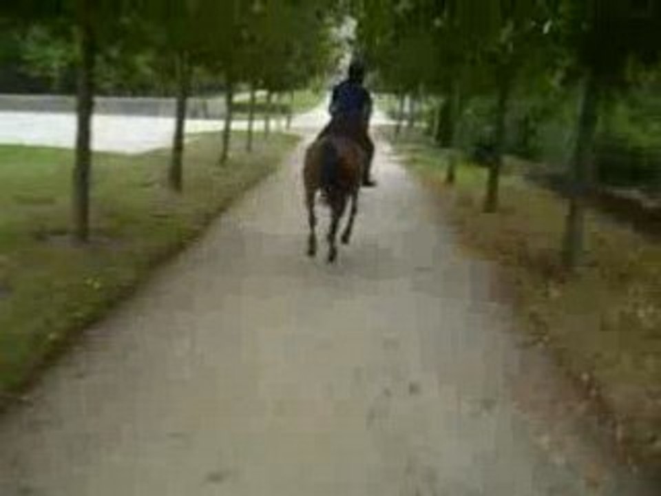 Galop caméra embarquée