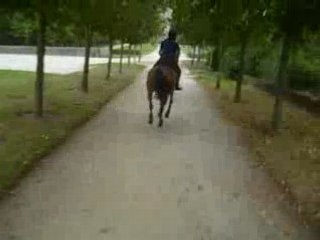 Galop caméra embarquée