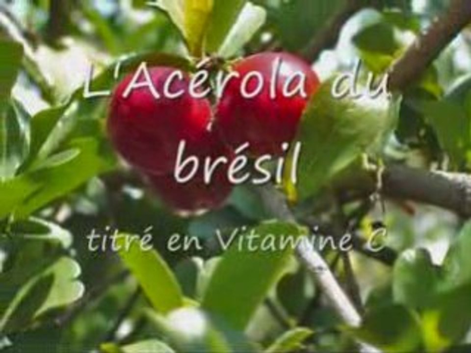 Présentation de l'Institut Biophytis