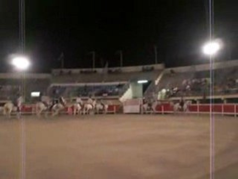 Grau du rOi 2008