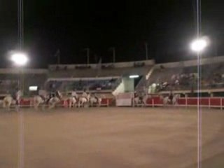 Grau du rOi 2008