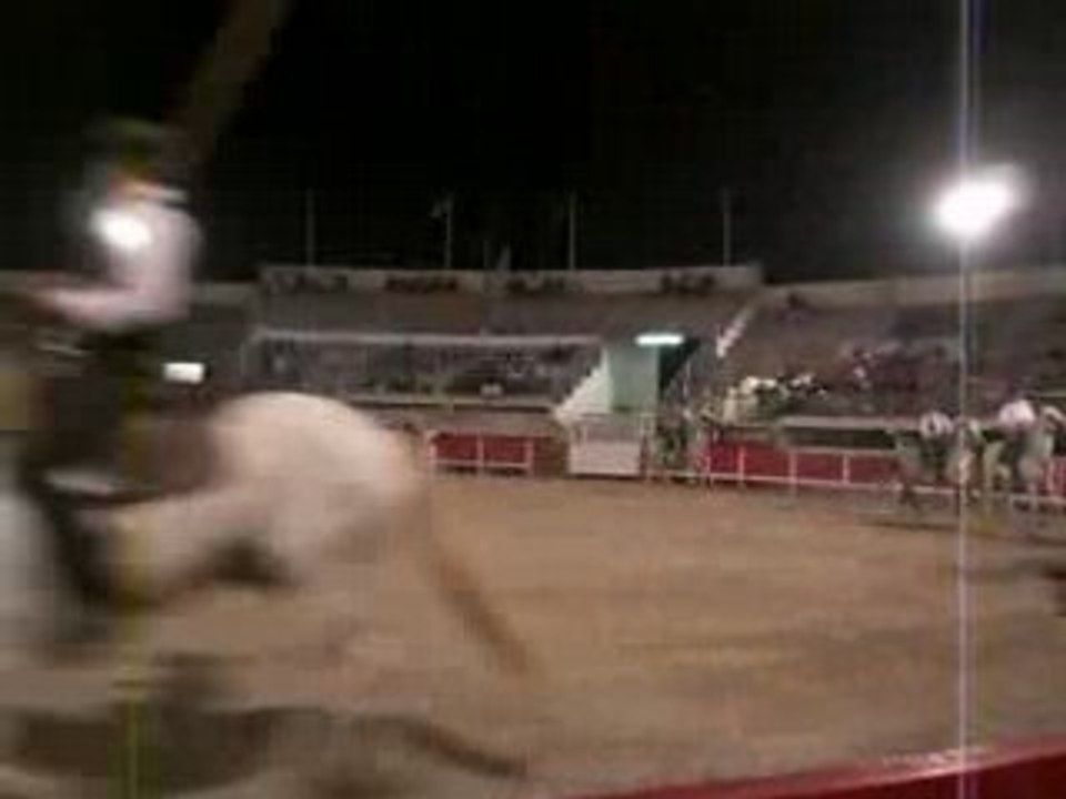 Grau du rOii 2008