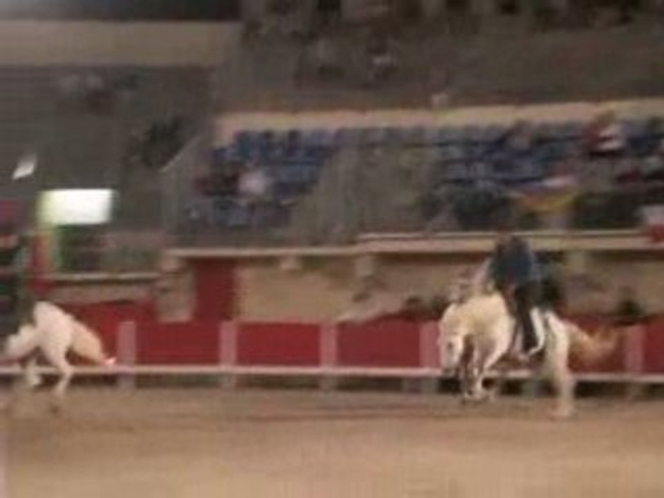 Grau du rOi 2oo8 RodéO à cheval