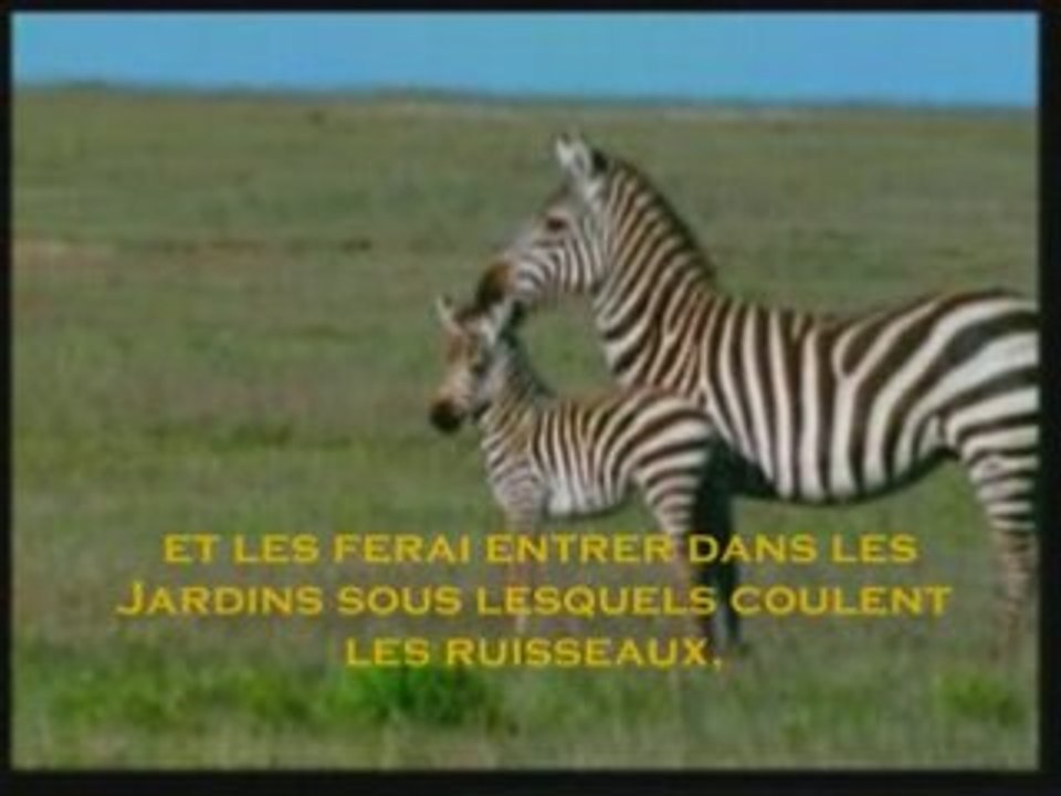 RAPPEL A VOIR....