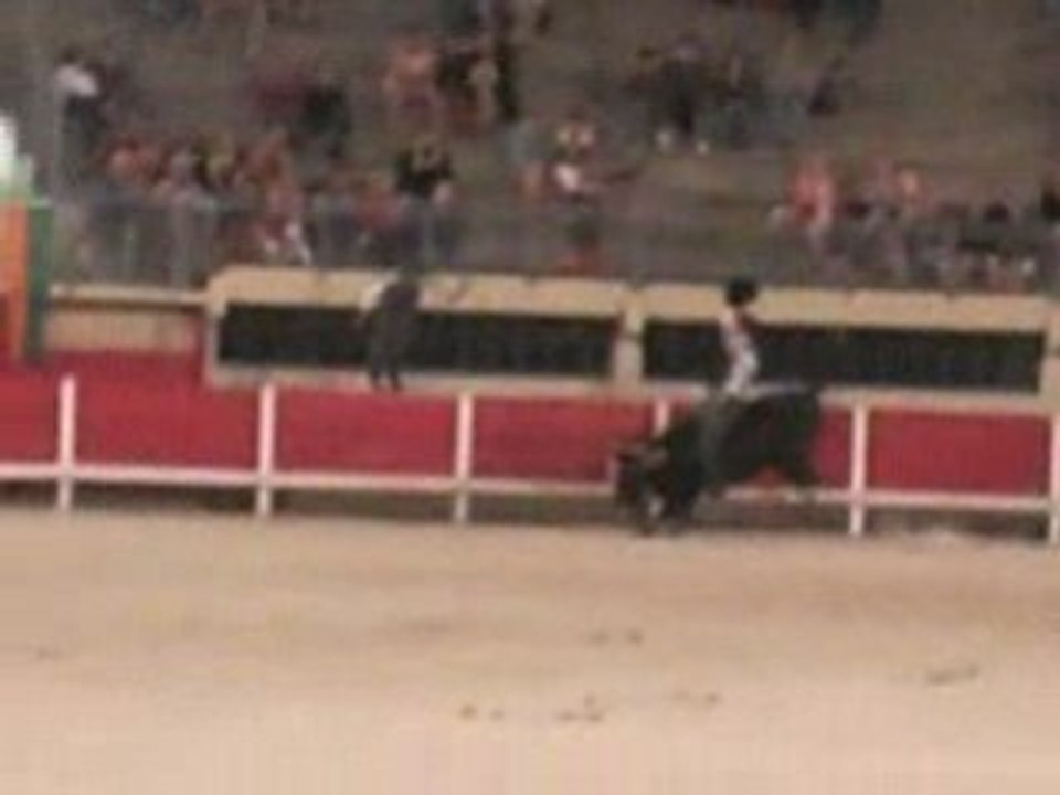 Grau du rOi 2oo8 Rodéo à taureau