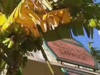 Madagascar vu   par Antoine