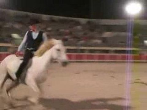 Grau du rOi 2008 saut de cheval à cheval (o2)