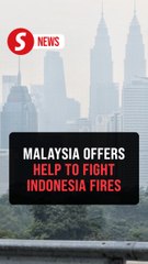 Forest fires: Malaysia offers assets, personnel to assist Indonesia, says Zahid