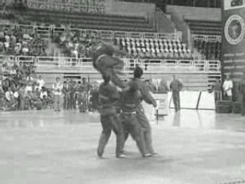 vovinam championnat du monde 2007