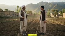 A Father's Lesson in Wheat Farming 🌾 | Pashtun Village Story