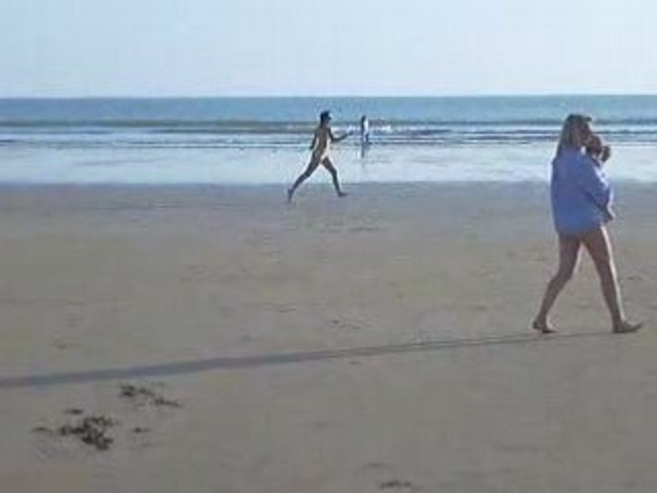 Gogole sur la plage