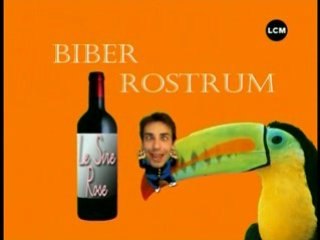 Partir en biberine (origine de mots marseillais)