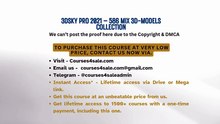 Courses4sale.com — 3DSky Pro 2021 – 586 Mix 3D-Models Collection