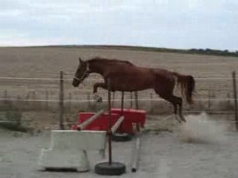 Rivage oxer