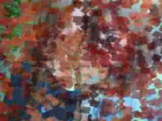 Vacances d'Eté 2008