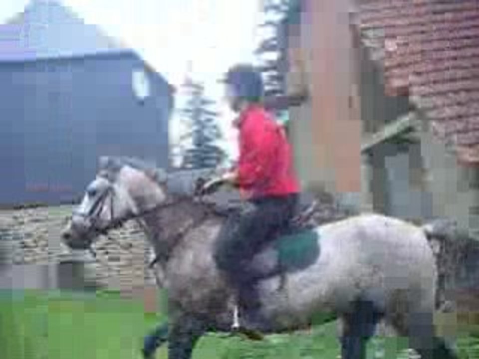 Orgueilleux et Moi