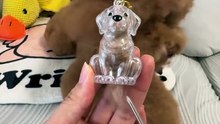 Dog Fur Keepsake Keychain | Cute Pet Memorial Charm for Bags & Keys