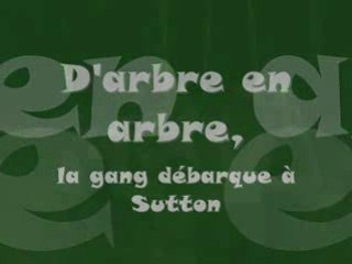 Sortie arbre en arbre aout 2008