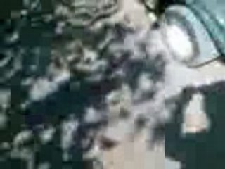 Crach-test