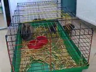 Moom's en vadrouille