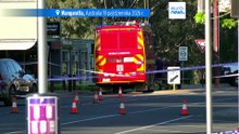 Australijska posłanka Helen Haines ciężko ranna w ataku samochodem