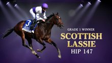 Fasig-Tipton: Scottish Lassie