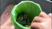 Cat Litter Scoop with Built-In Waste Bag Holder