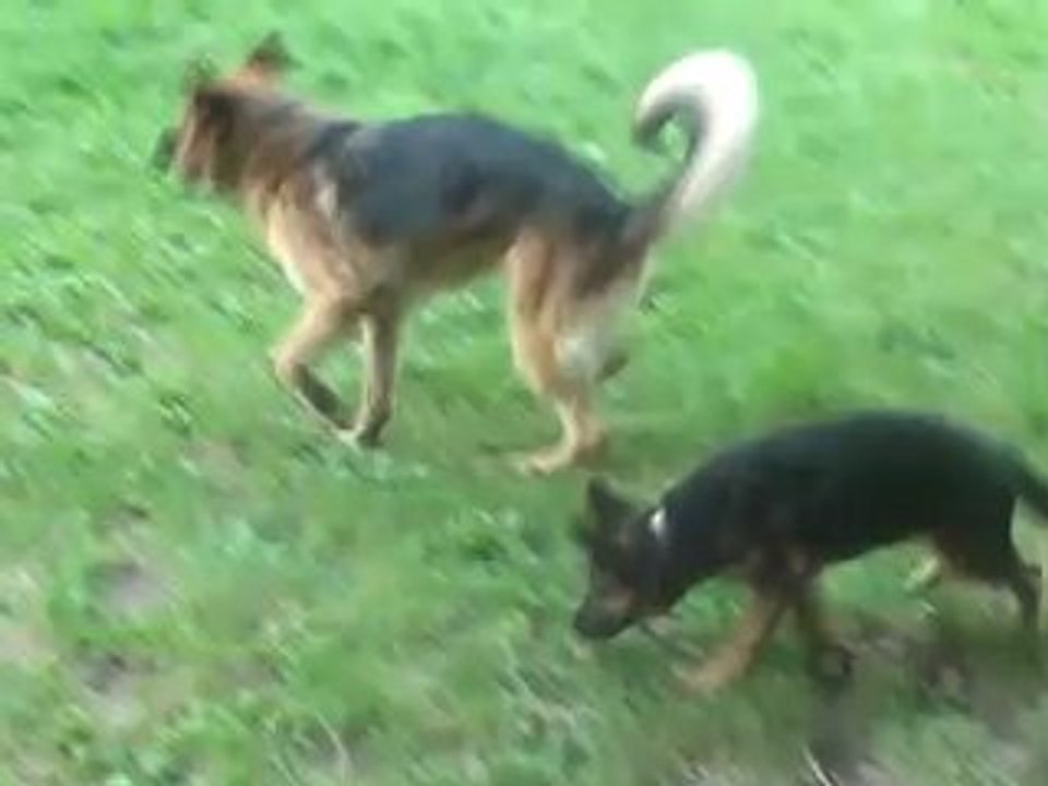 ballade DRAISINE et adzaro