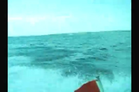 Saros 14-15 Temmuz 2007 Balık Avı baliksevdam.com