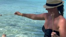 A Woman's Snack Encounter with Pigs in the Bahamas