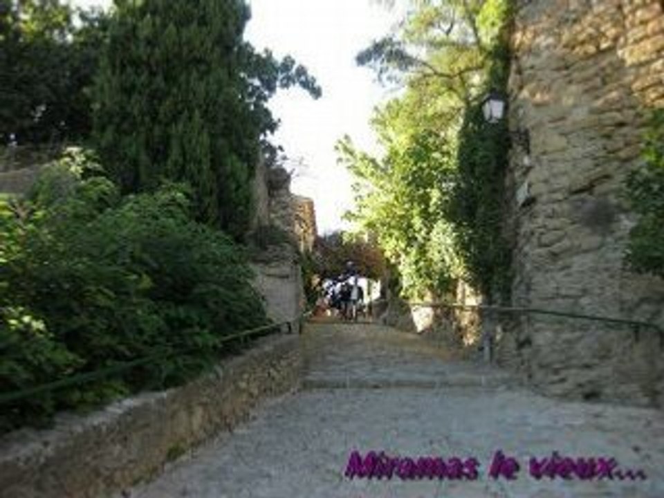 Vacances en Provence