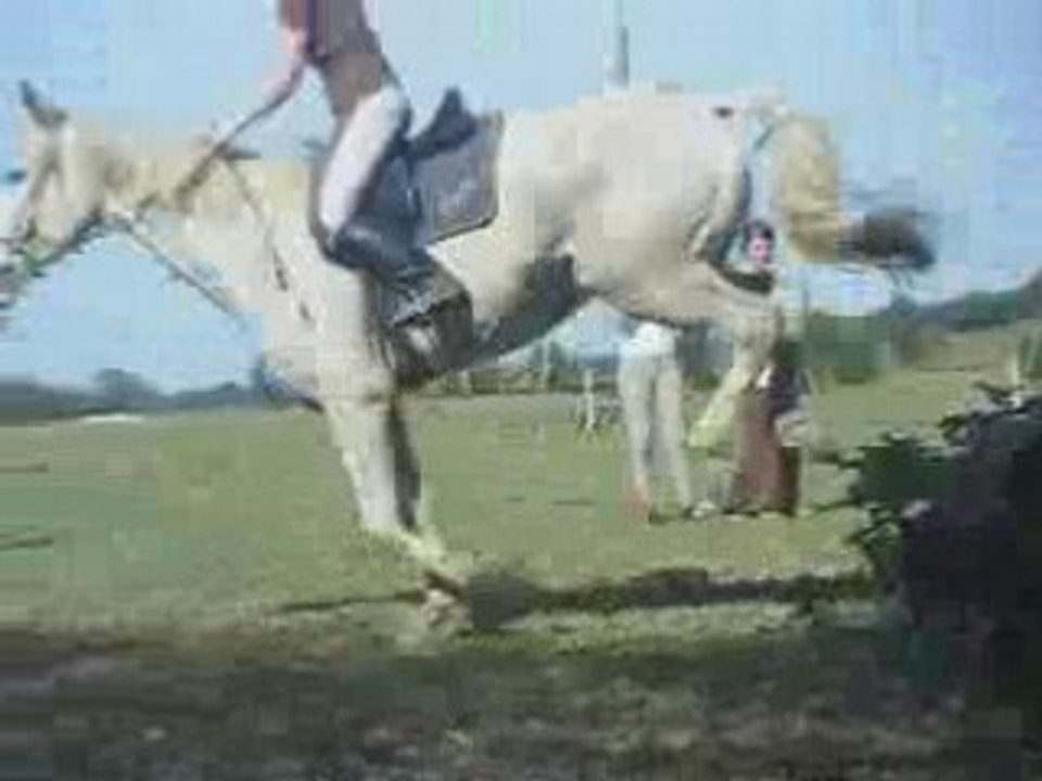 Love en cso