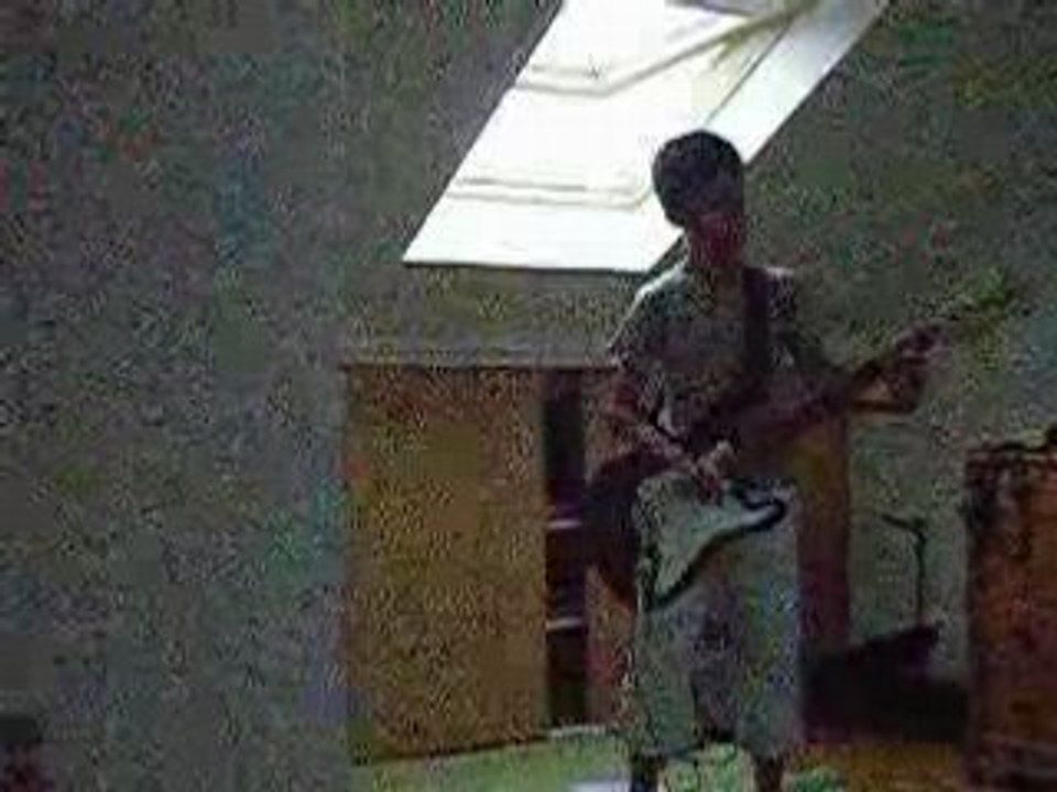 Guitare Sum 41- Pieces