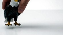 Eagle + White Symbiote → 🦅🤍 Pure Terror! Eagle Merges With a Pearl-White Creature