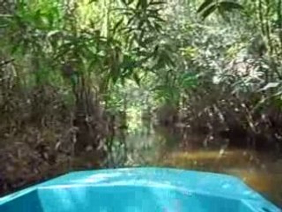 Reserve de Nahampoana