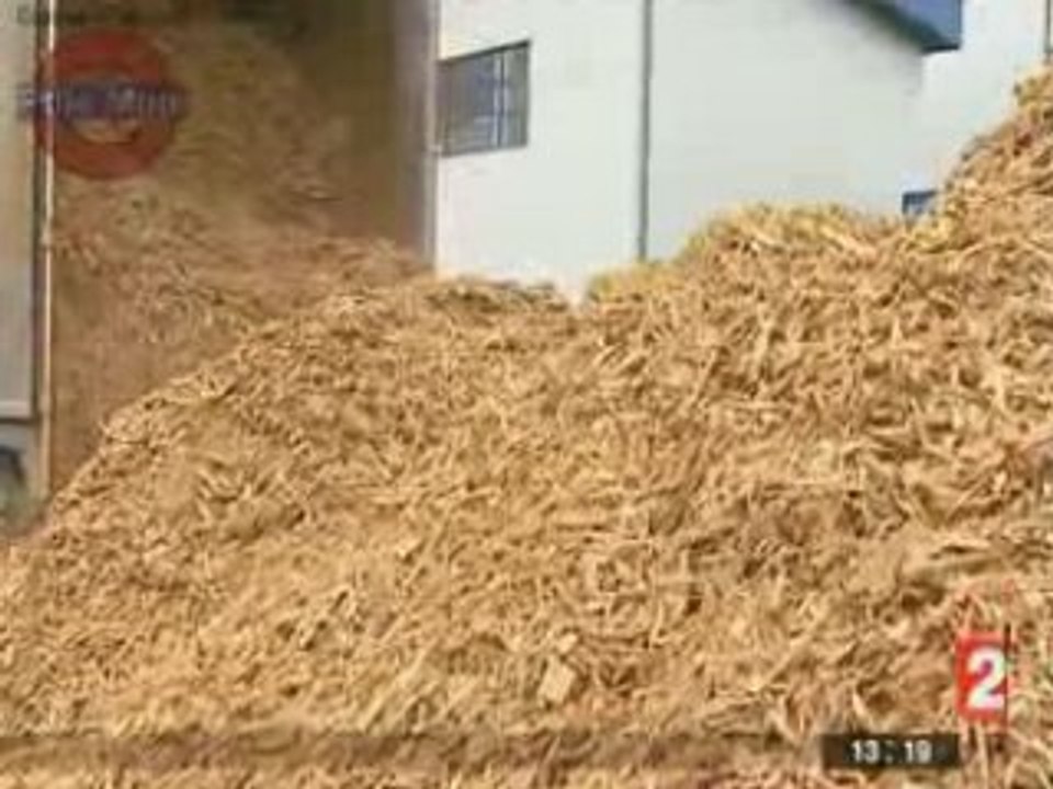 Des déchets de bois à la place du pétrole