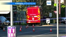 Депутат парламента Австралии лишилась ноги после наезда злоумышленника