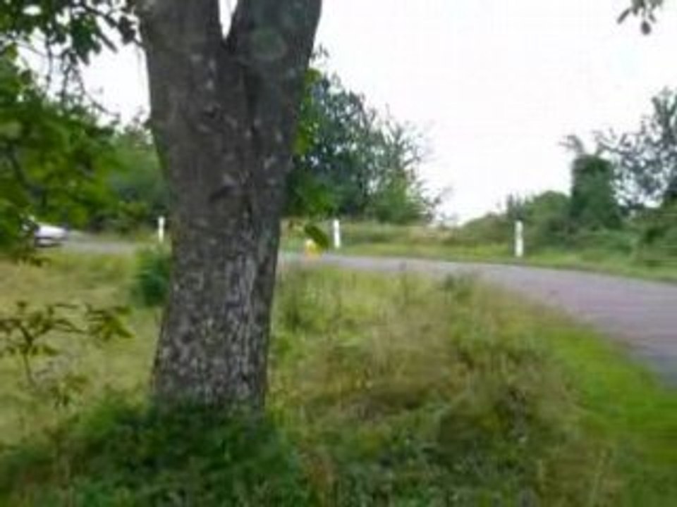 Course de côte en descente lol