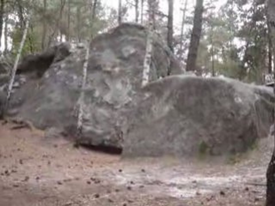 MOV02660