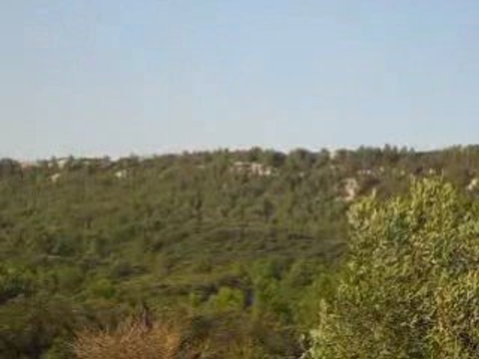 MVI_3107